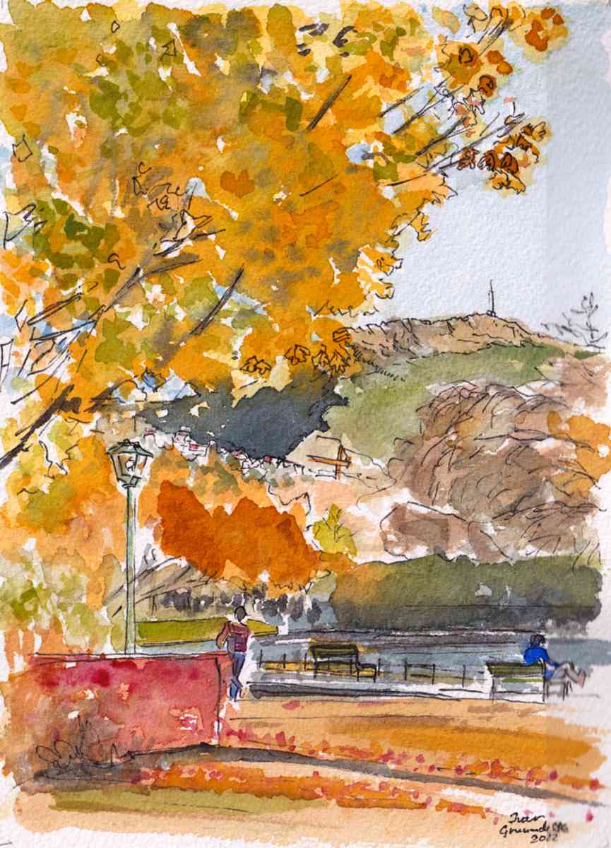 Høstsol Byparken bergen