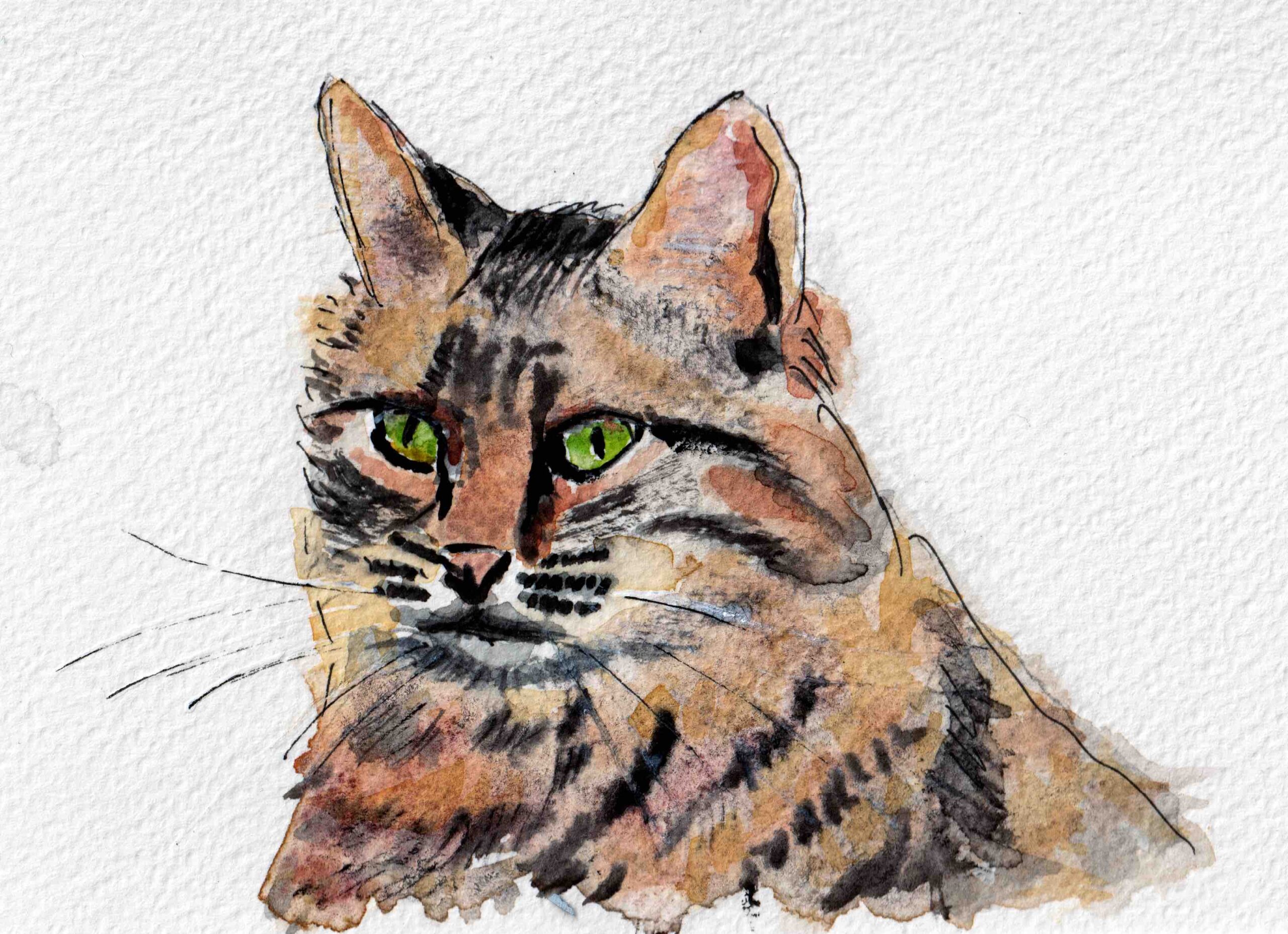 Katt
