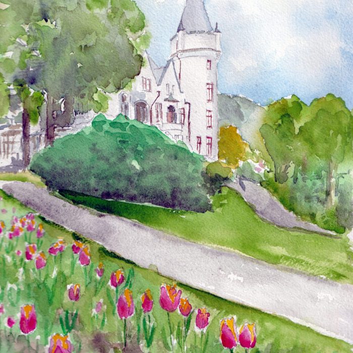 Gamlehaugen tulipaner