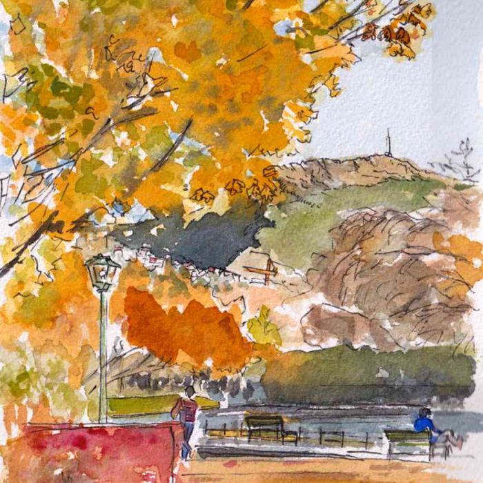 Høstsol Byparken bergen